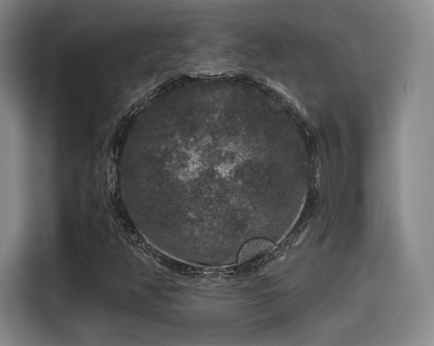 X0000114211350200910161239