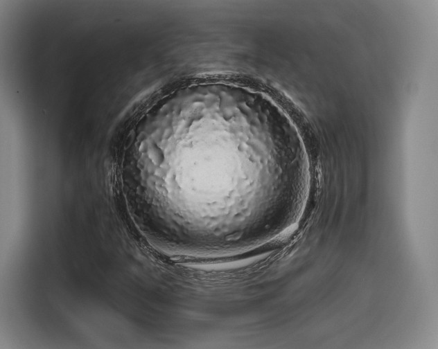 X0000114211351200910161239