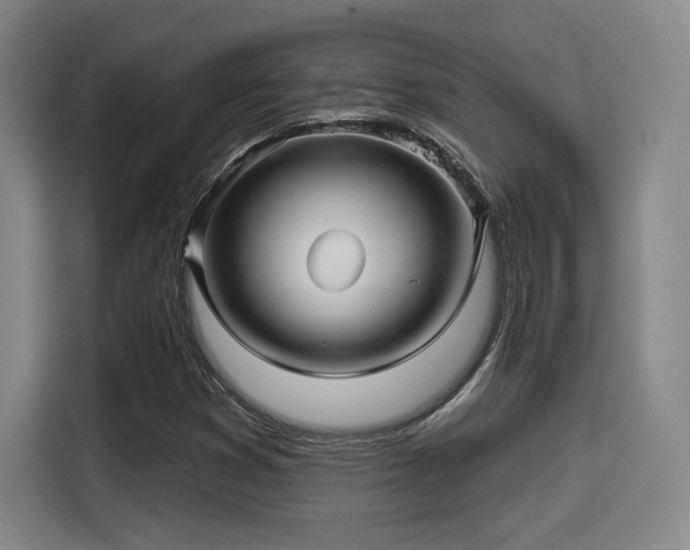 X0000114211353200910161239