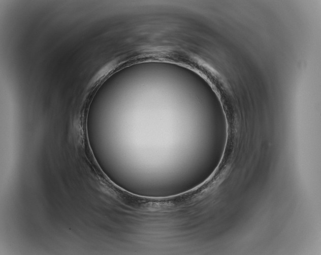 X0000114211354200910161239
