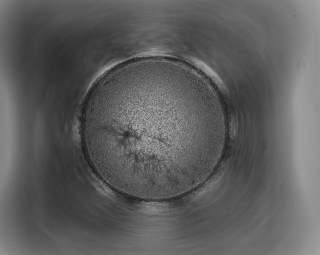 X0000114211356200910161239