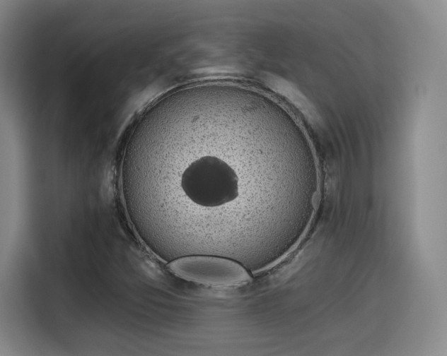 X0000114211357200910161239