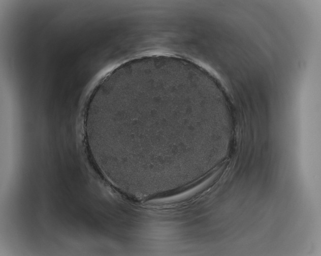X0000114211359200910161239