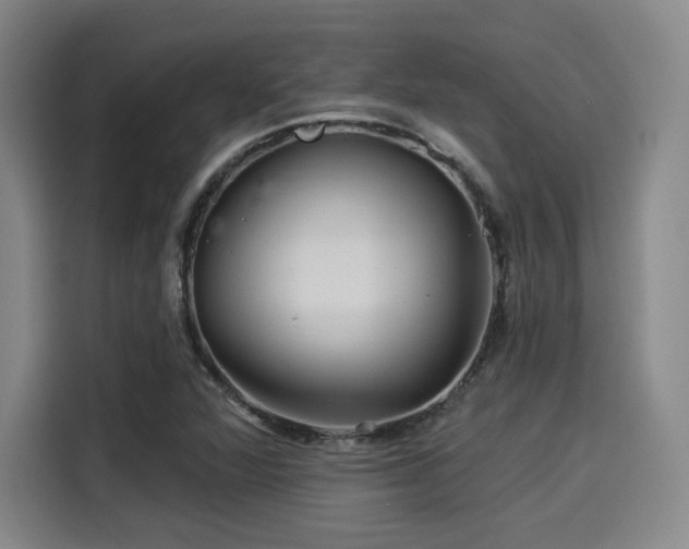 X0000114211360200910161239