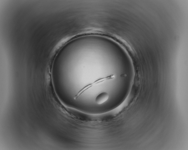 X0000114211363200910161239