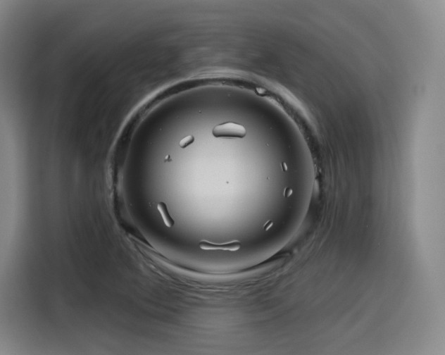 X0000114211364200910161239