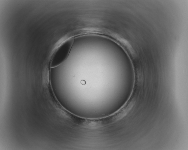 X0000114211365200910161239