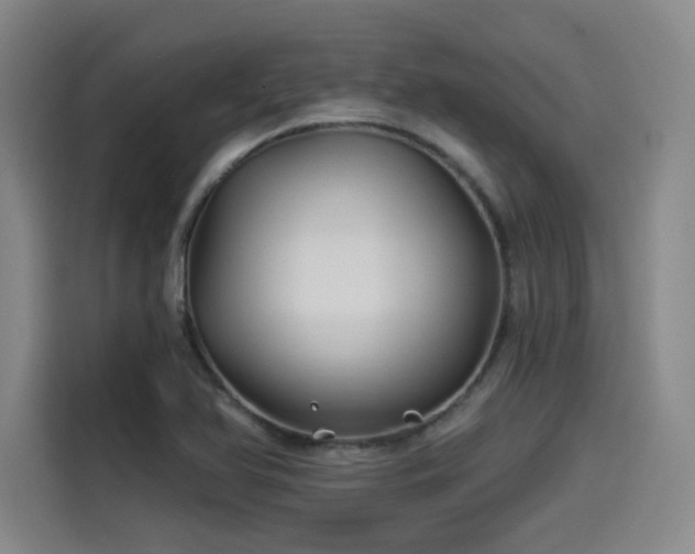 X0000114211366200910161239