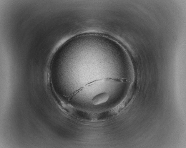 X0000114211367200910161239