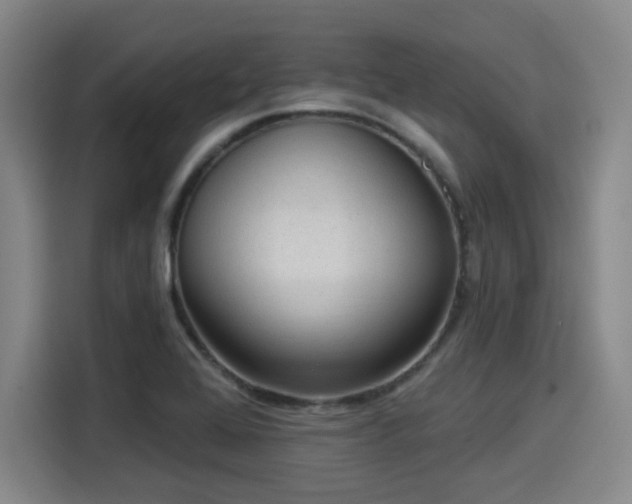 X0000114211368200910161239