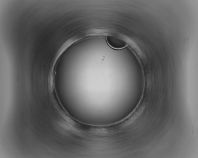 X0000114211370200910161239