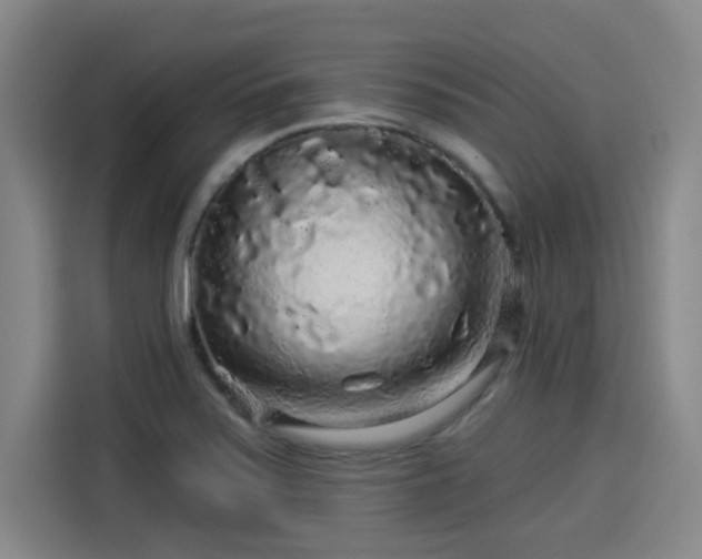 X0000114211371200910161239