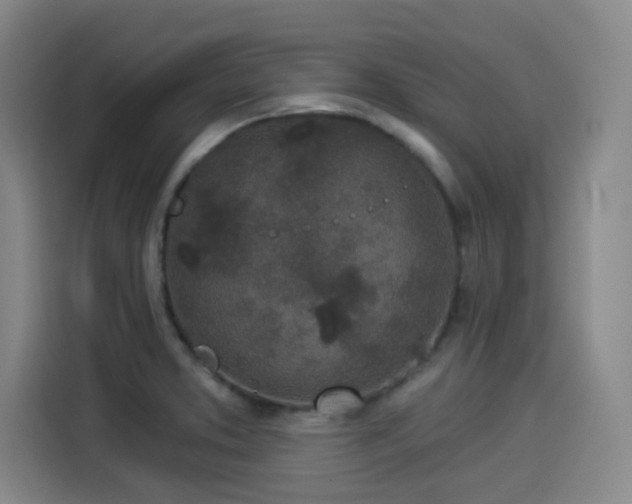 X0000114211373200910161239