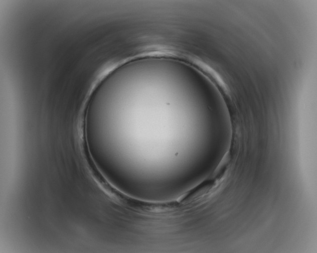 X0000114211375200910161239