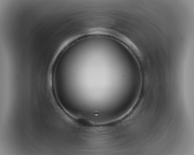 X0000114211376200910161239