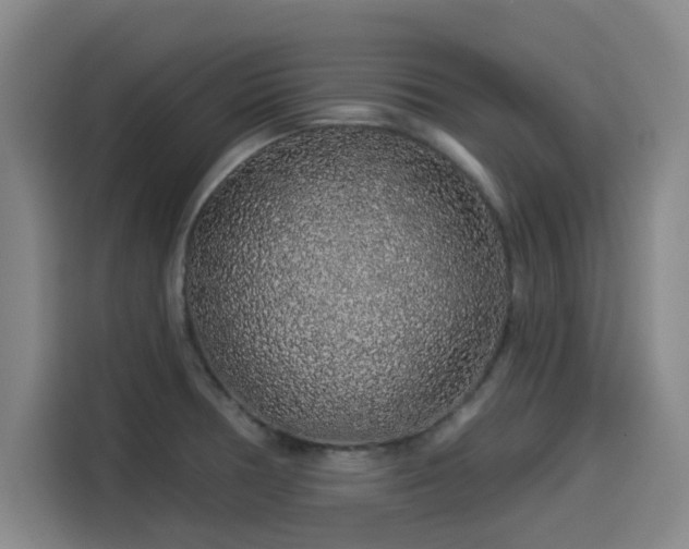 X0000114211378200910161239