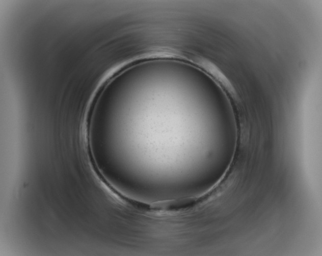 X0000114211380200910161239