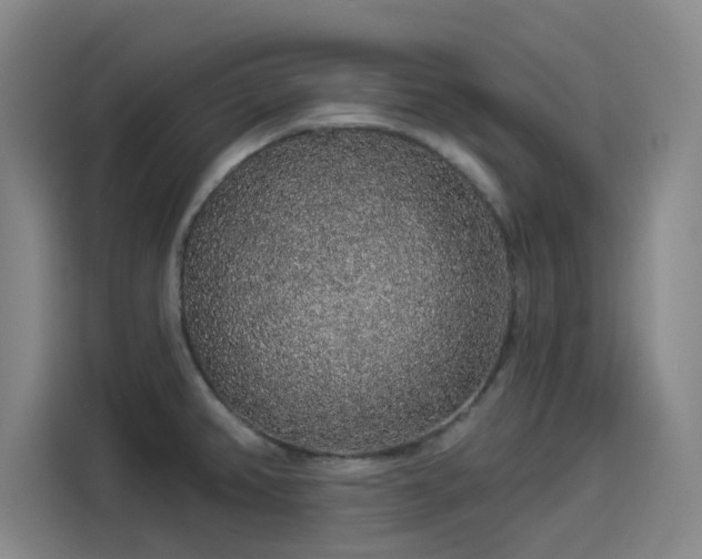 X0000114211382200910161239
