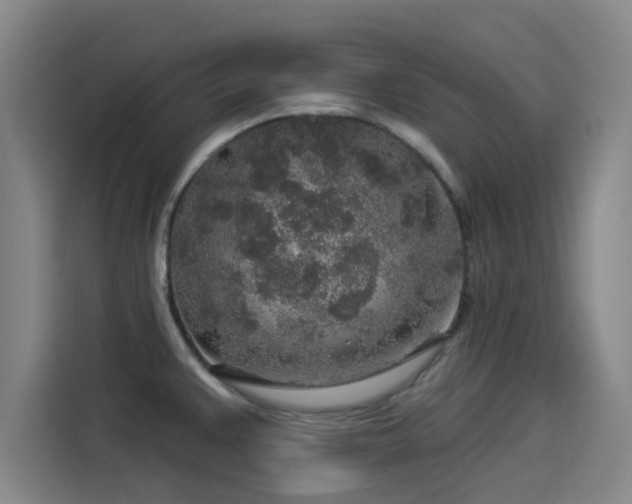X0000114211383200910161239