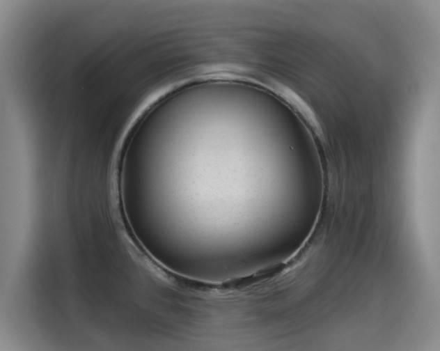 X0000114211384200910161239