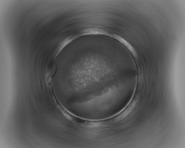 X0000114211385200910161239