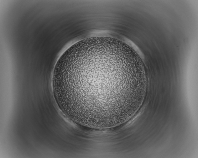 X0000114211386200910161239