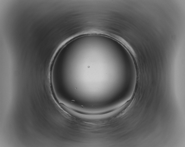 X0000114211388200910161239