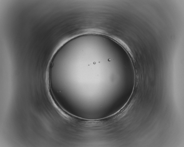 X0000114211391200910161239