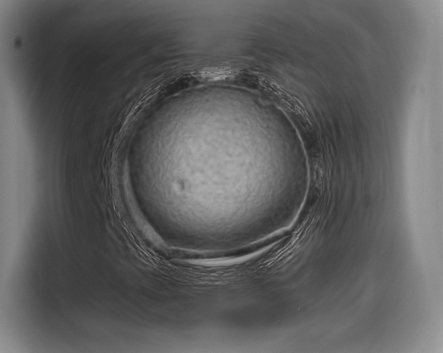 X0000114211393200910161238