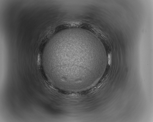 X0000114211395200910161238