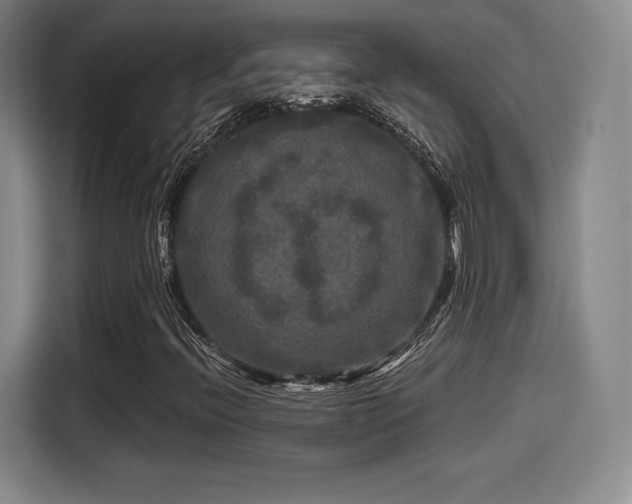 X0000114211396200910161238