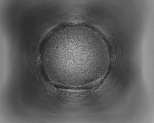 X0000114211398200910161238