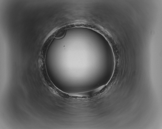 X0000114211400200910161238