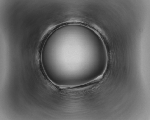 X0000114211408200910161238