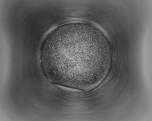 X0000114211411200910161238