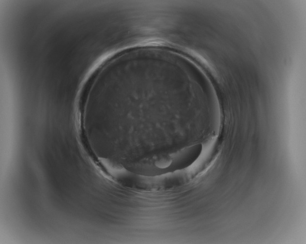 X0000114211414200910161238