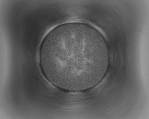 X0000114211415200910161238