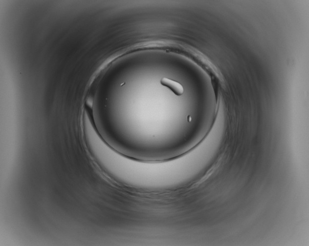 X0000114211417200910161238