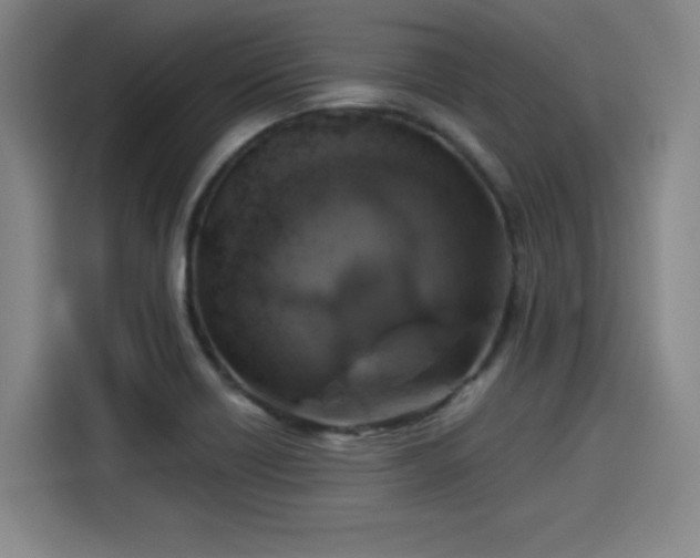 X0000114211418200910161238
