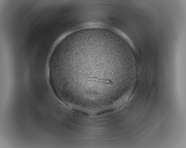 X0000114211419200910161238
