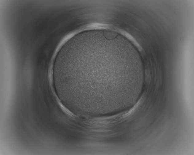X0000114211421200910161238