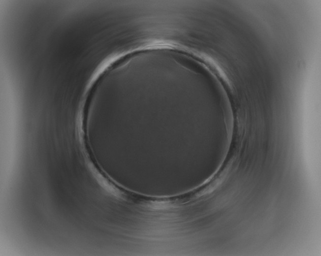 X0000114211422200910161238