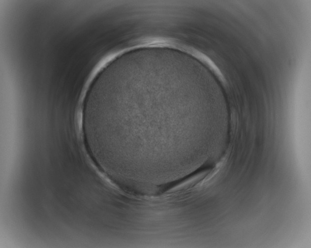 X0000114211424200910161238