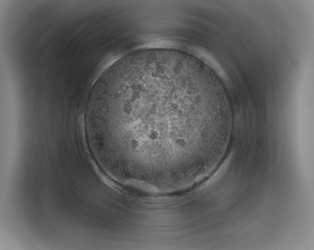 X0000114211425200910161238