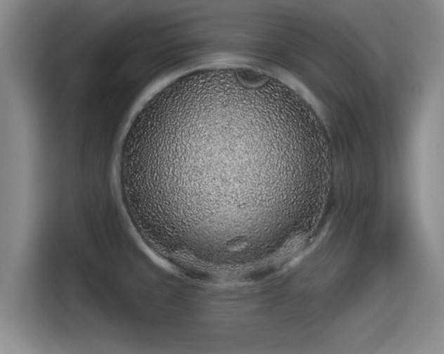 X0000114211429200910161238