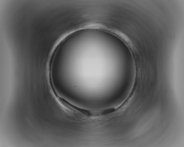 X0000114211430200910161238