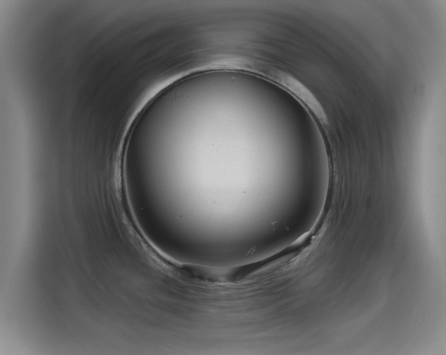 X0000114211436200910161238