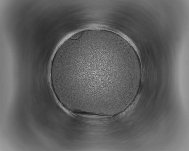 X0000114211437200910161238