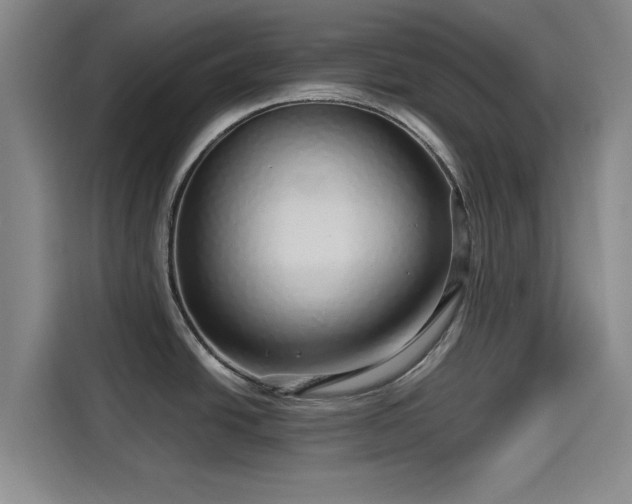 X0000114211438200910161238