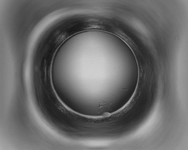 X0000114211439200910161238